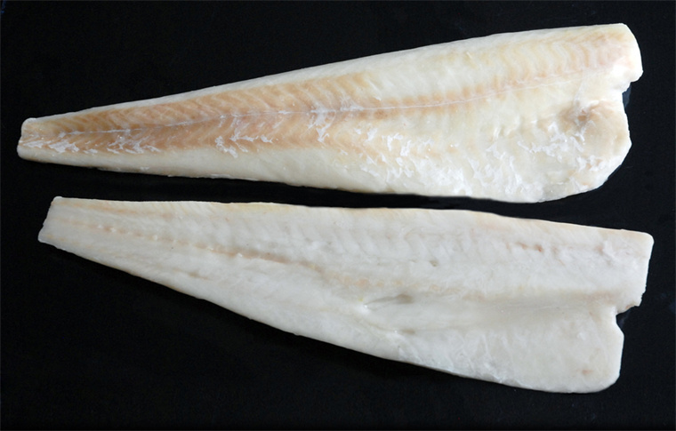 Atlantic COD fillet