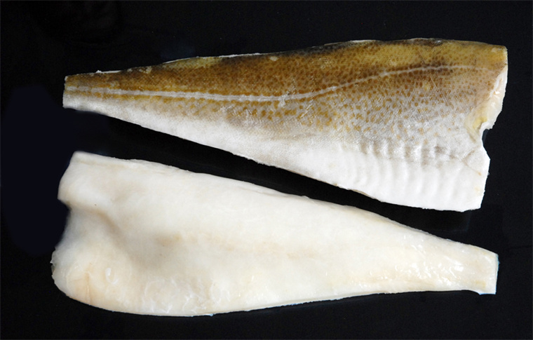 Light Salted Atlantic cod fillet