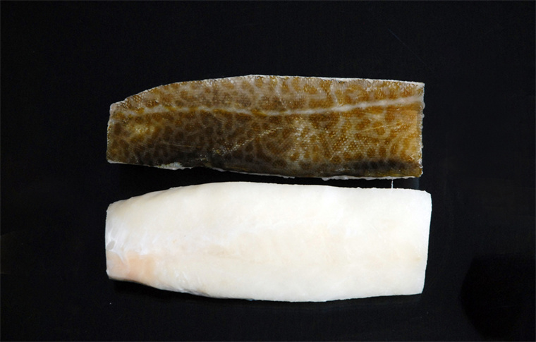 Light Salted Atlantic cod loin