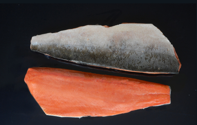 5 chum salmon fillet.jpg