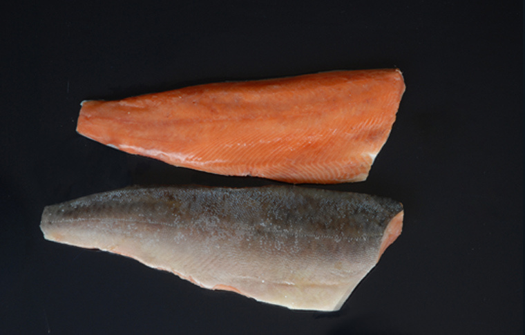 6 pink salmon fillet.jpg